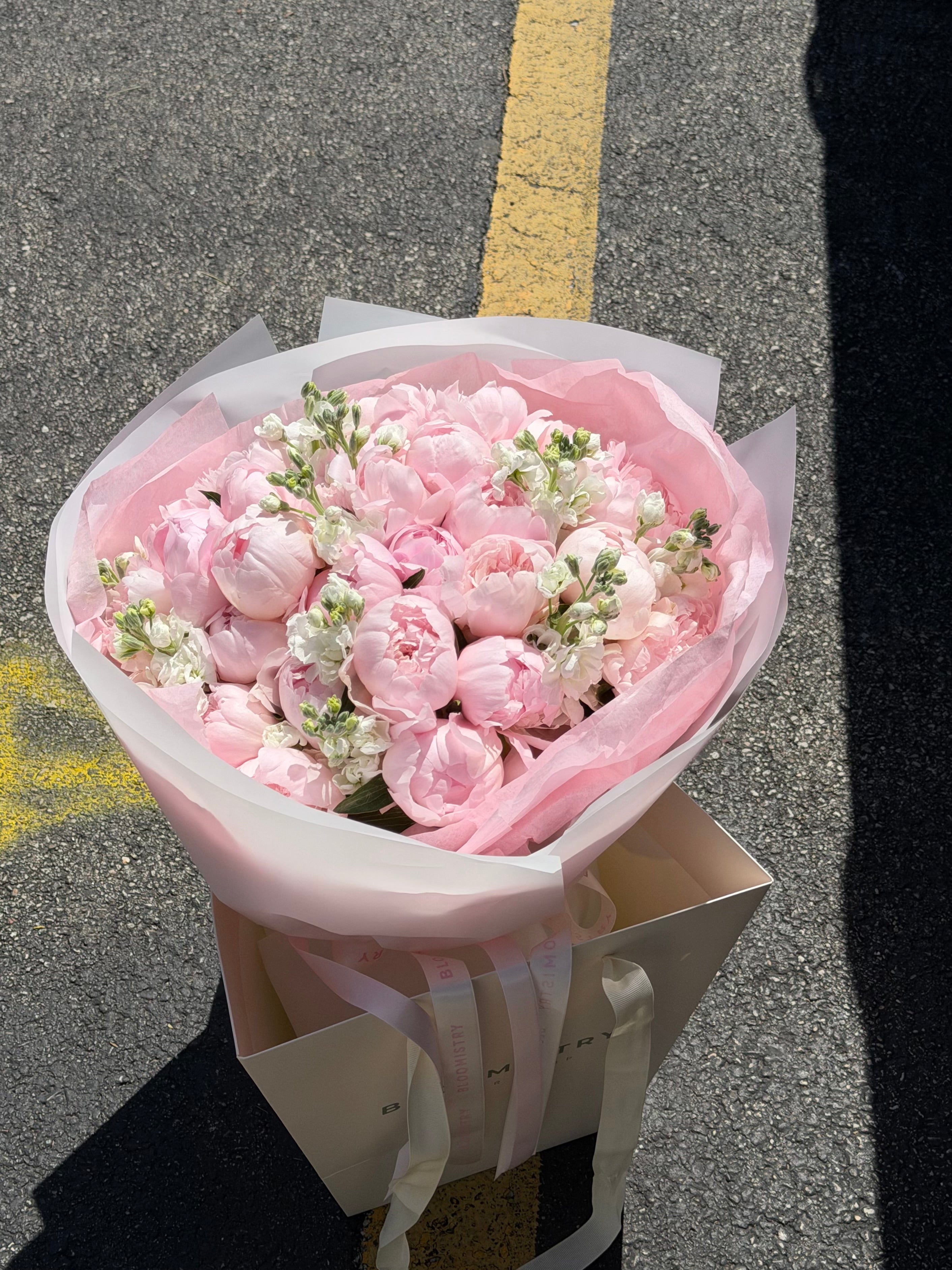 Blush Peony Dream