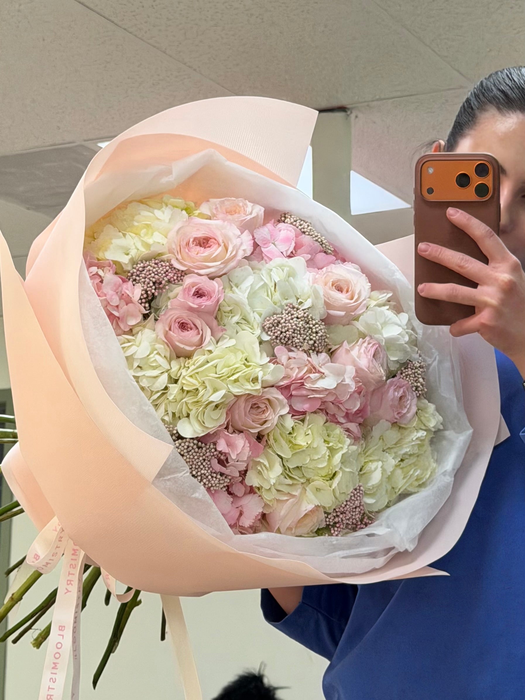 Blush Hydrangea Dream