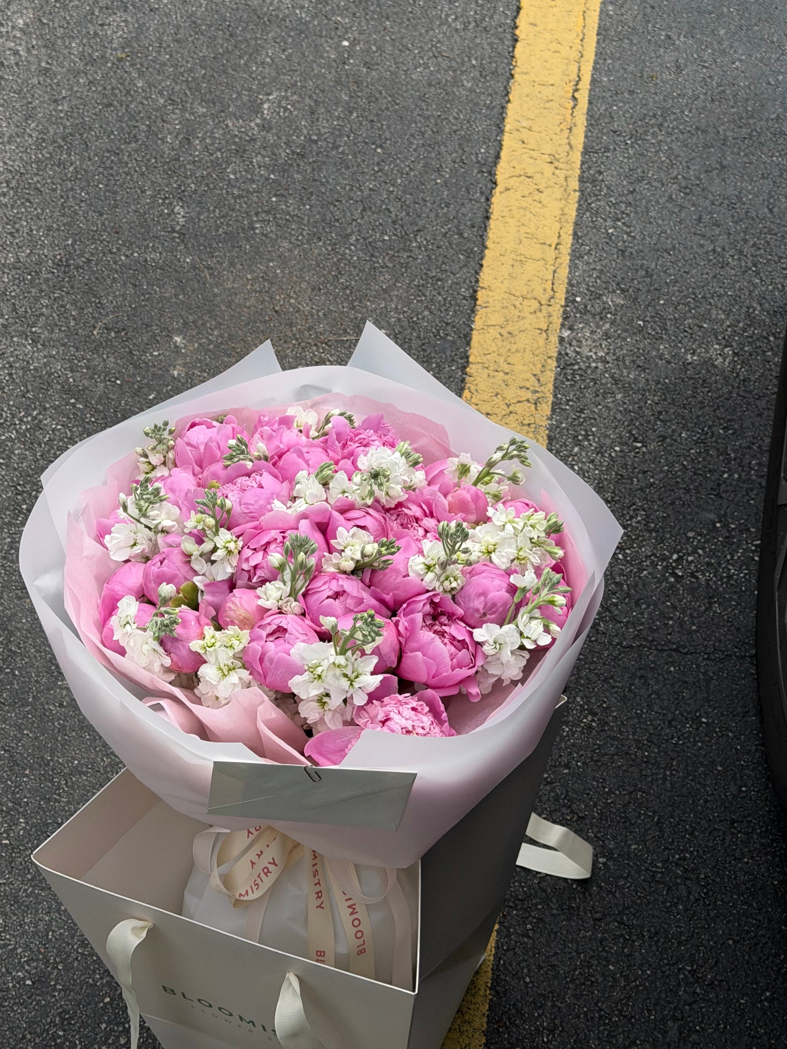 Pink Champagne Peonies