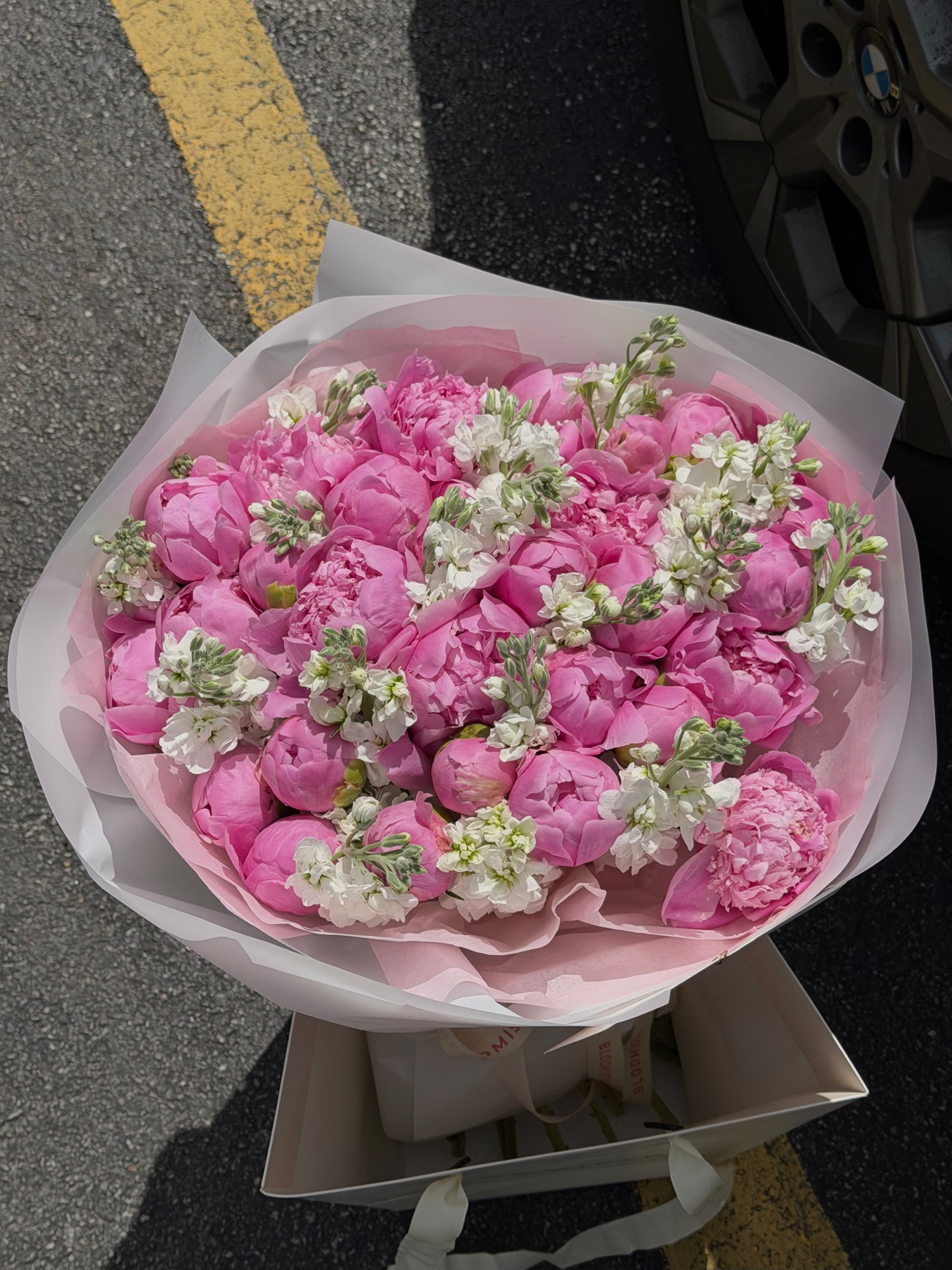Pink Champagne Peonies