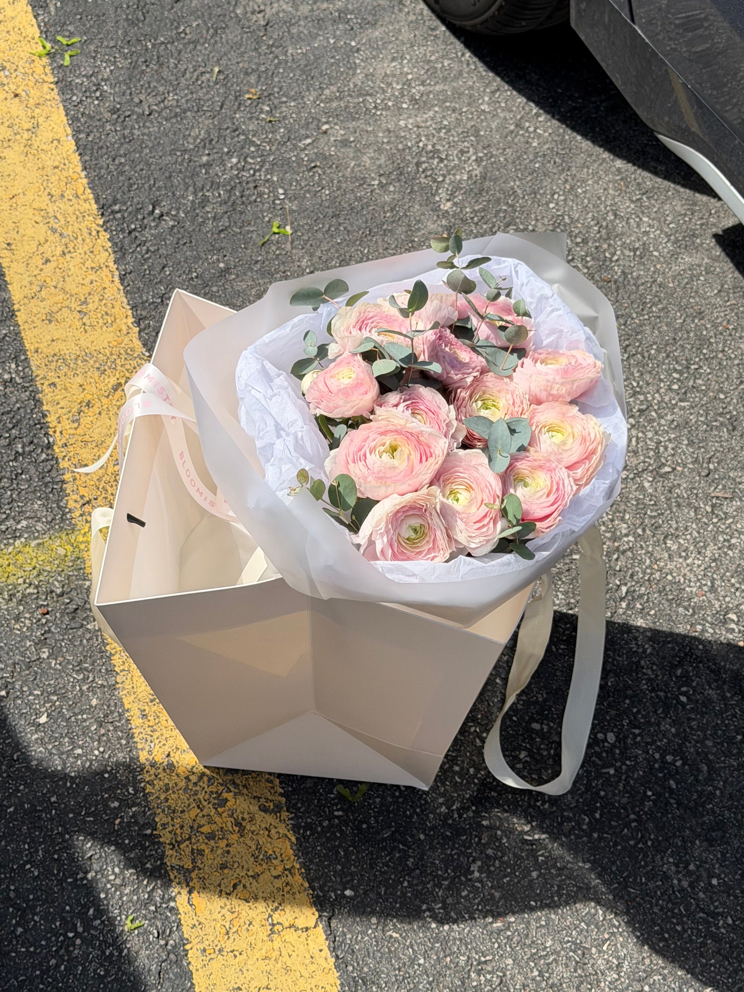 Pink Velvet Ranunculus