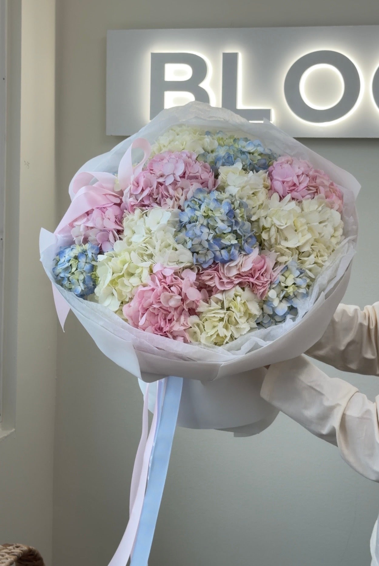 Hydrangeas