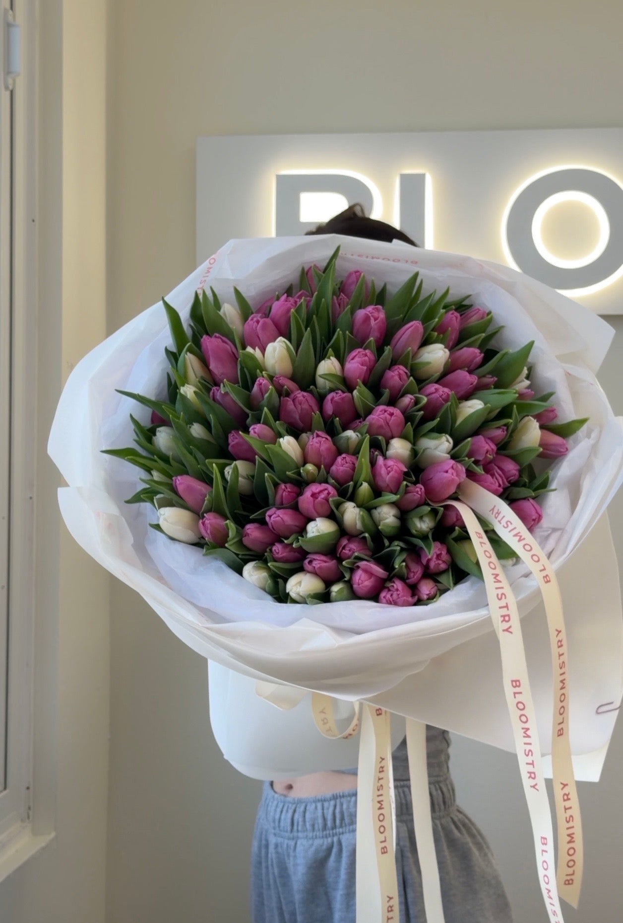 Pure Hundred Tulips