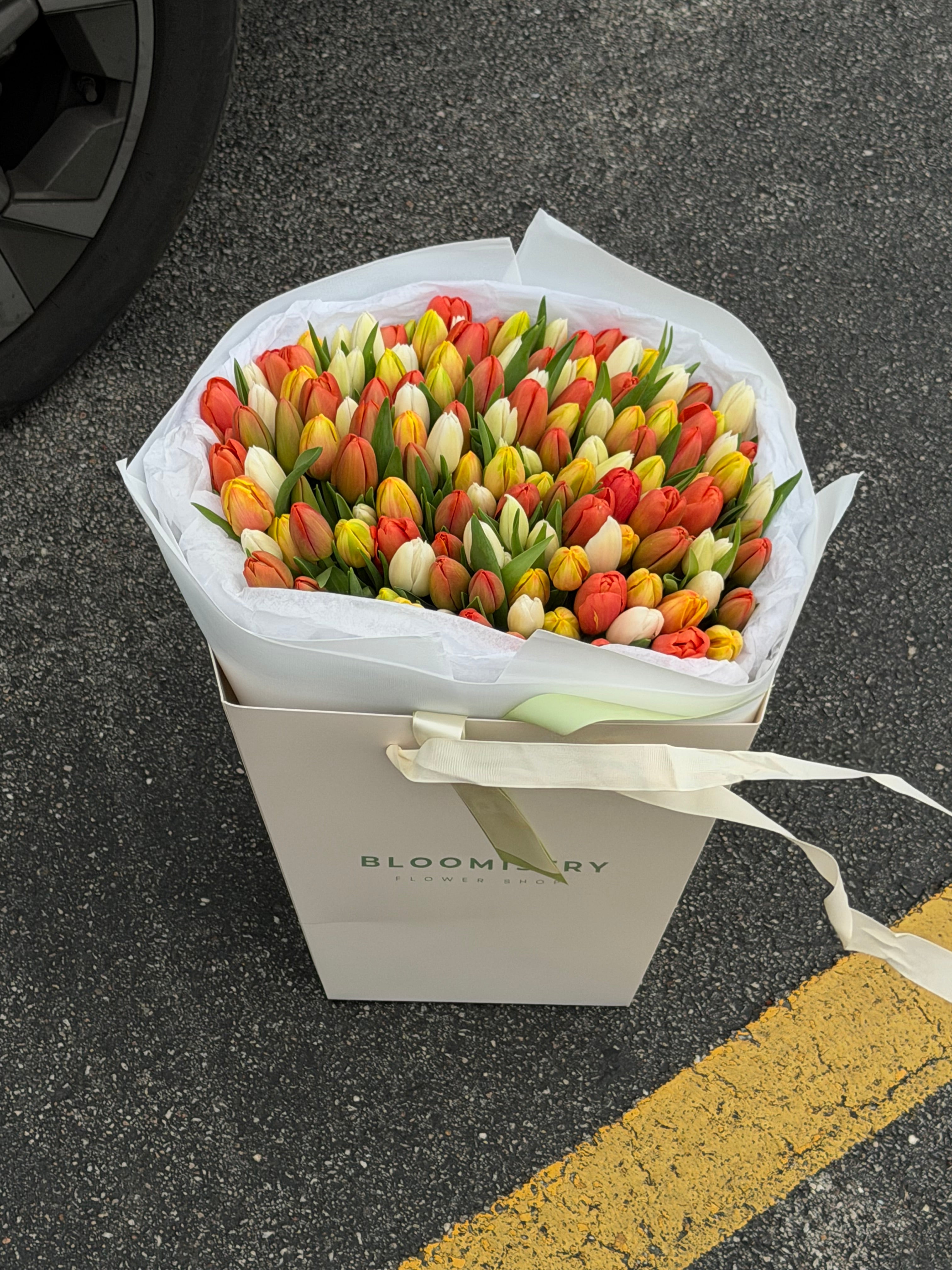 Sunset Tulip Garden