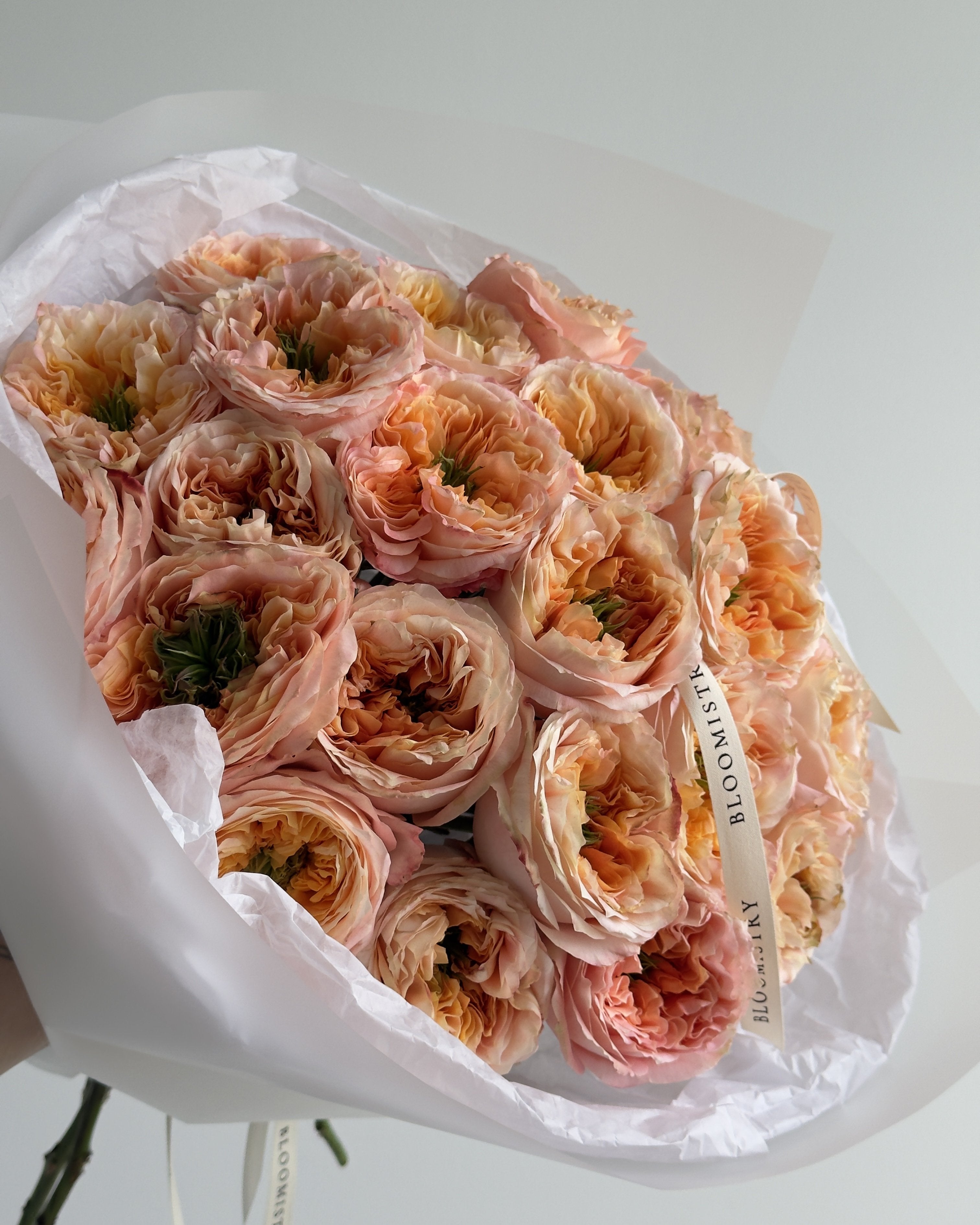 Peach Velvet
