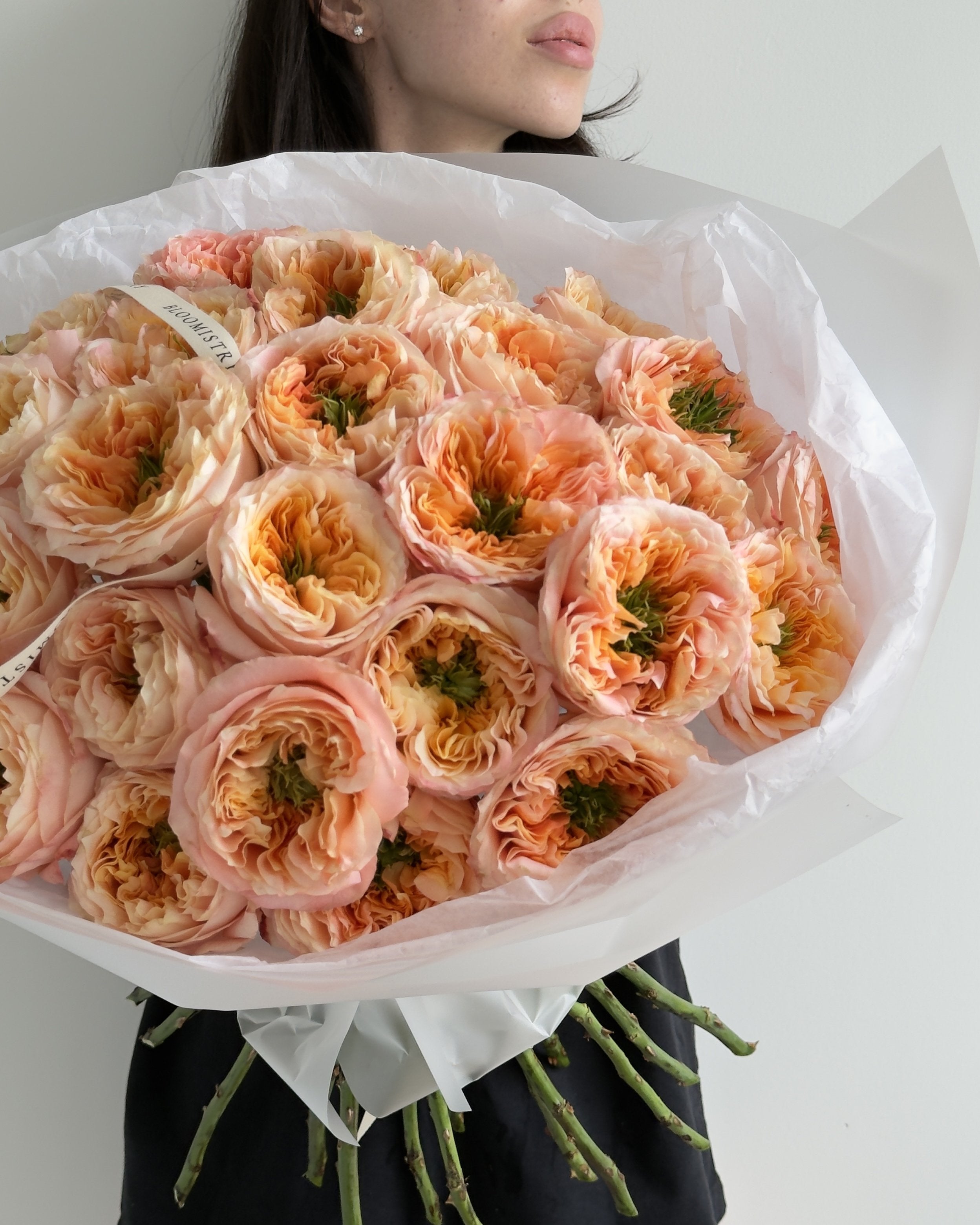 Peach Velvet