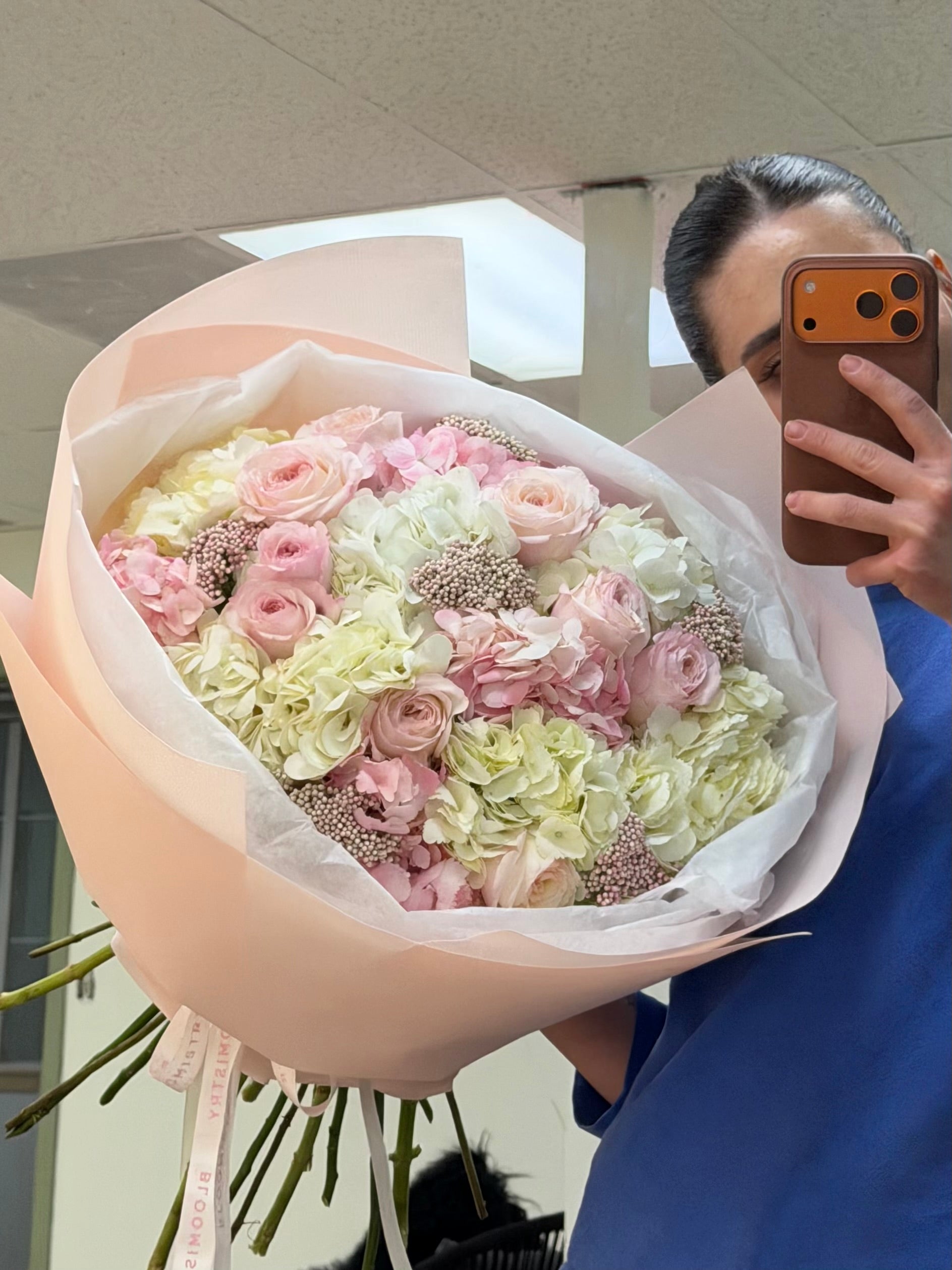 Blush Hydrangea Dream