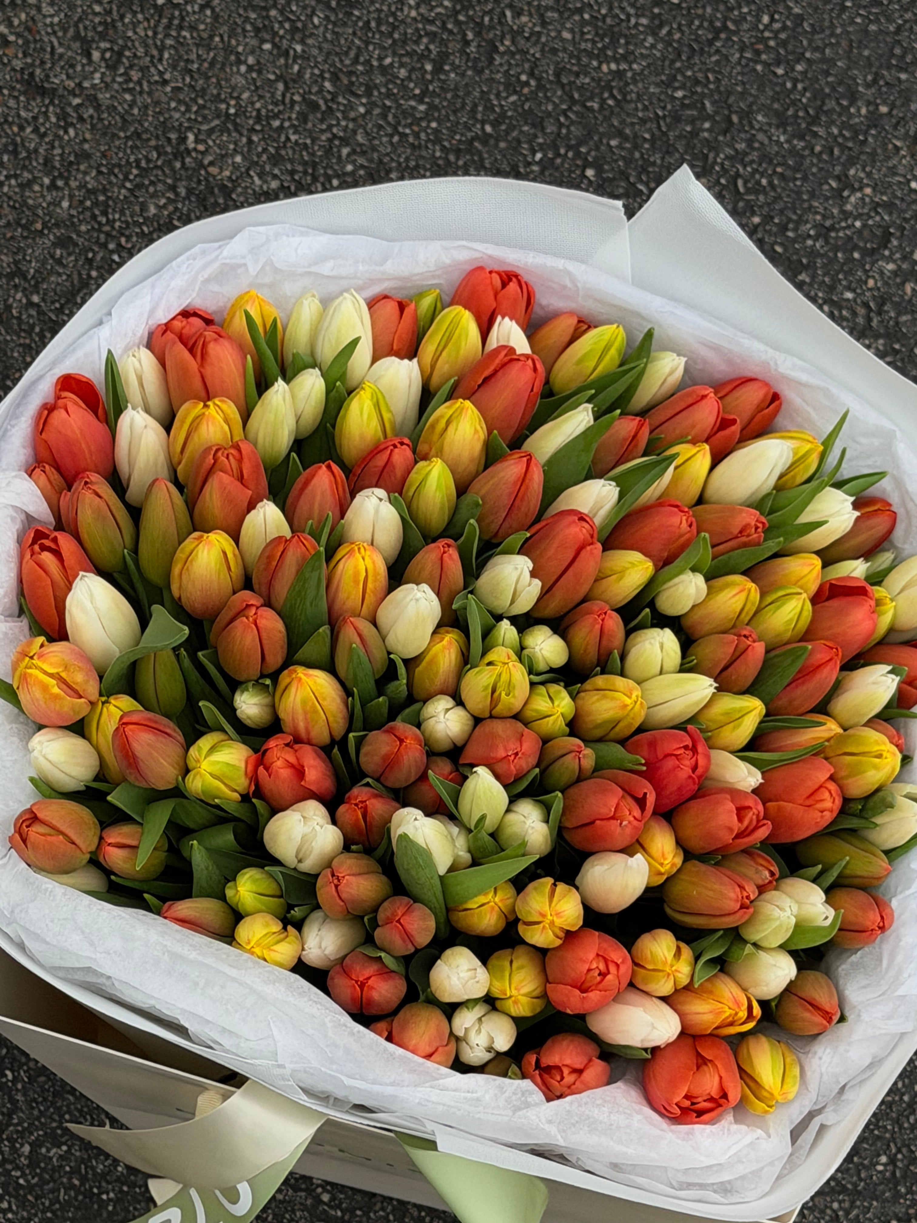 Sunset Tulip Garden