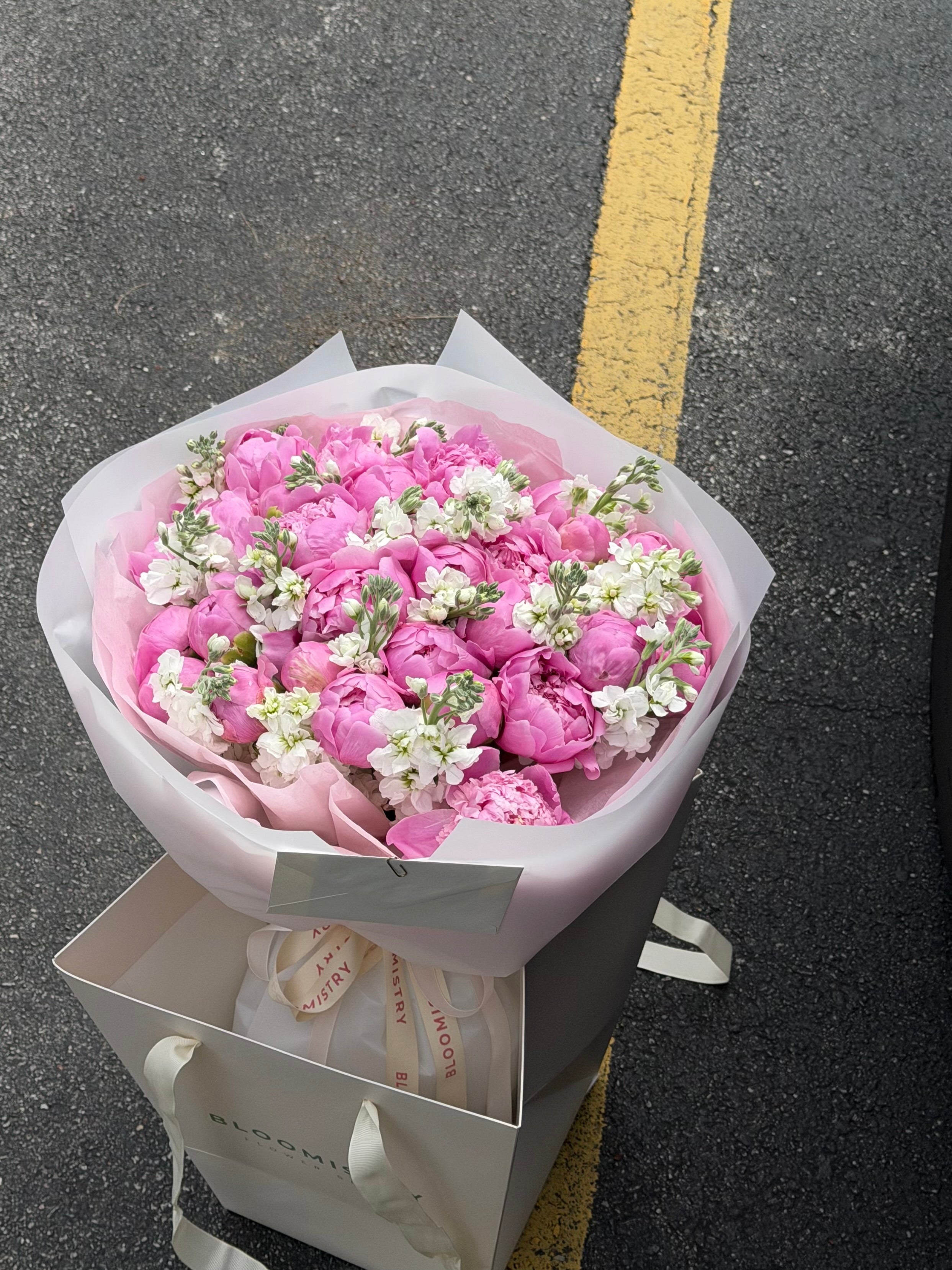 Pink Champagne Peonies