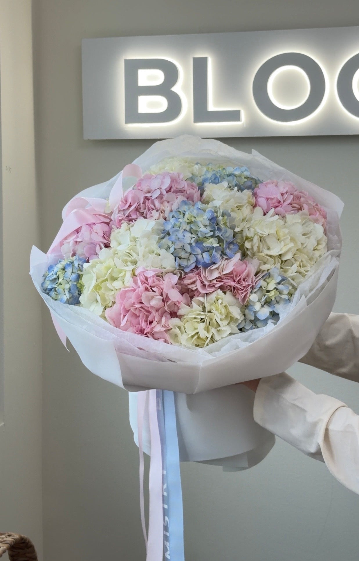 Hydrangeas Pastel Mix