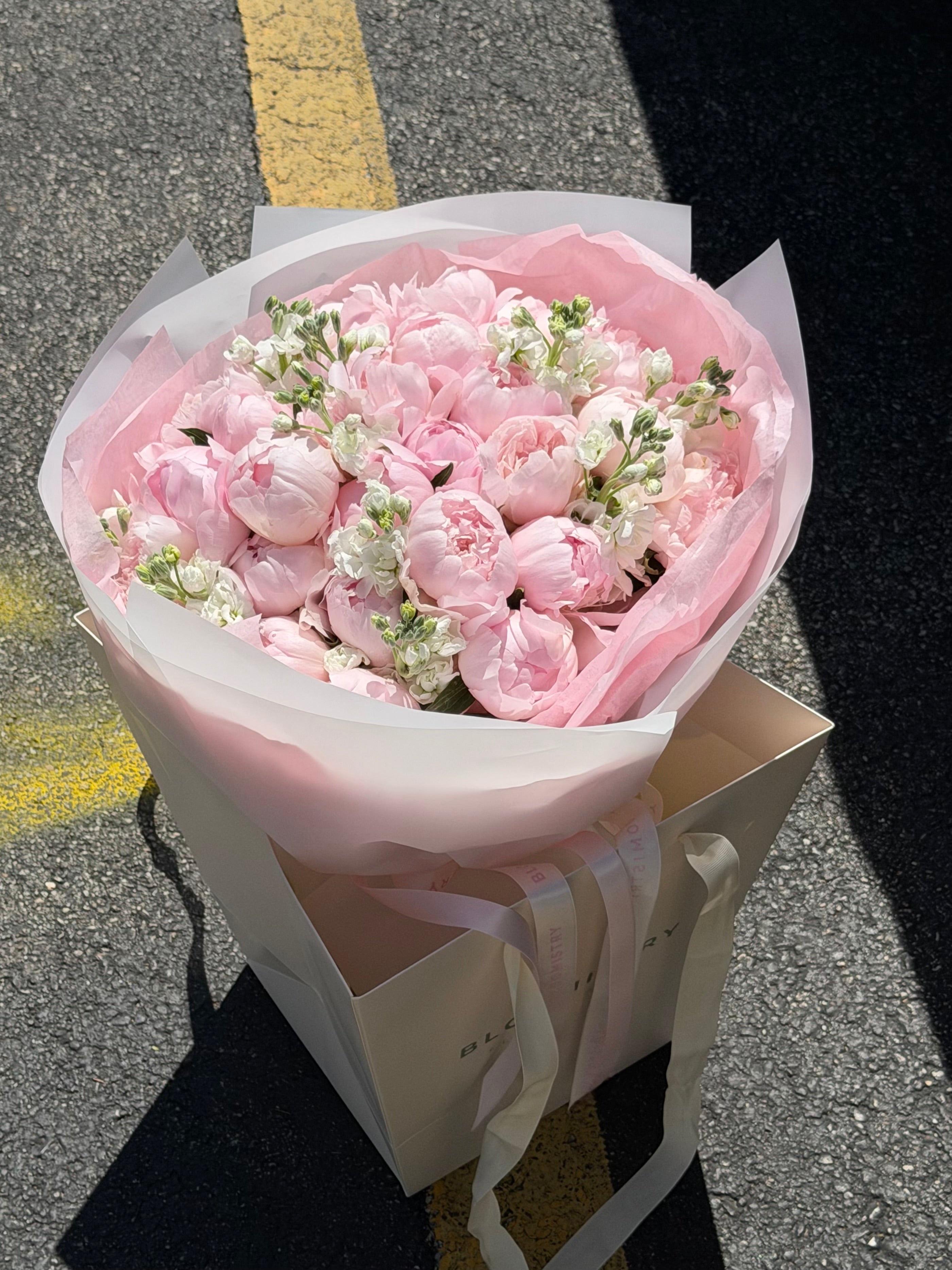 Blush Peony Dream