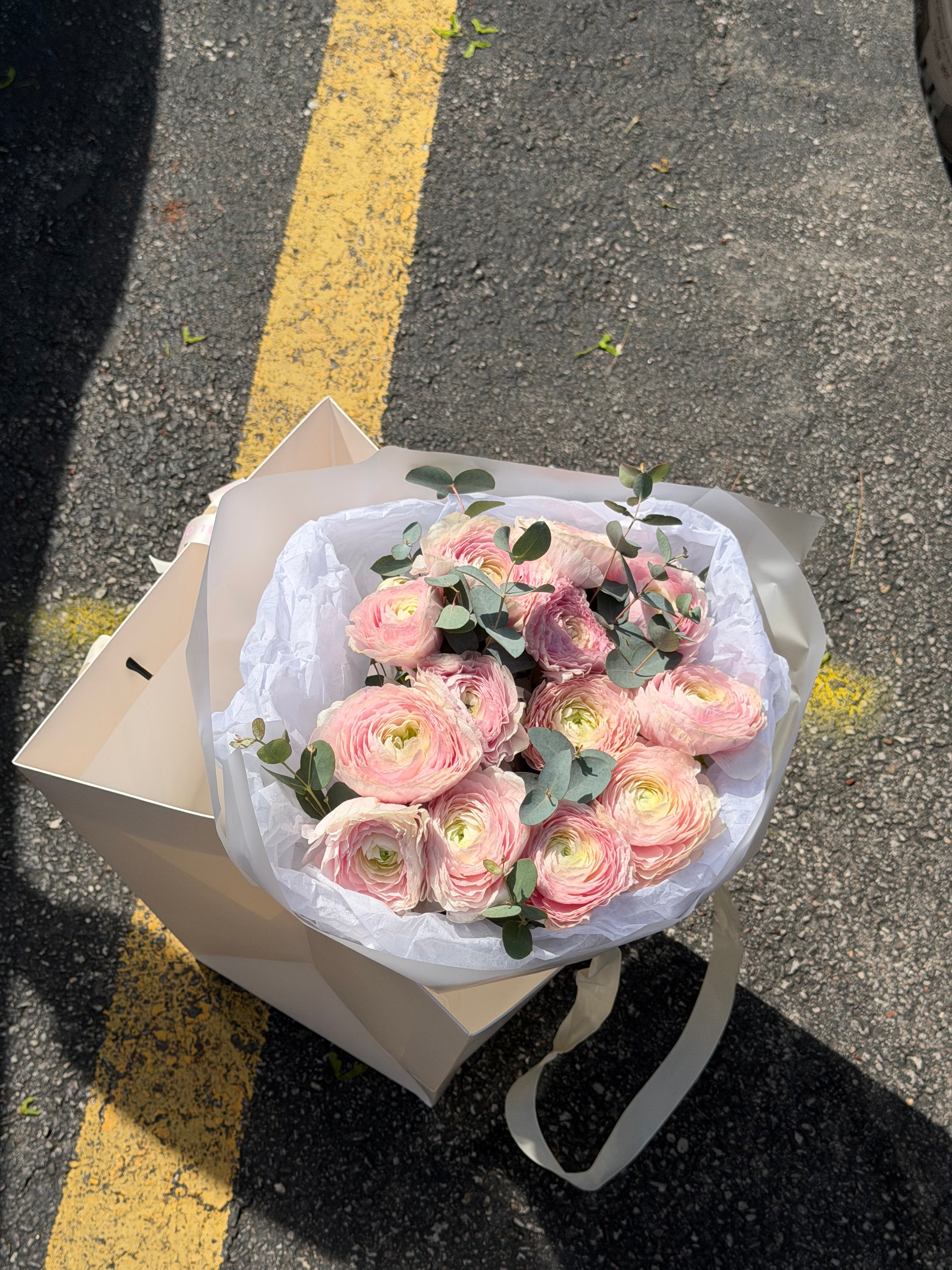 Pink Velvet Ranunculus