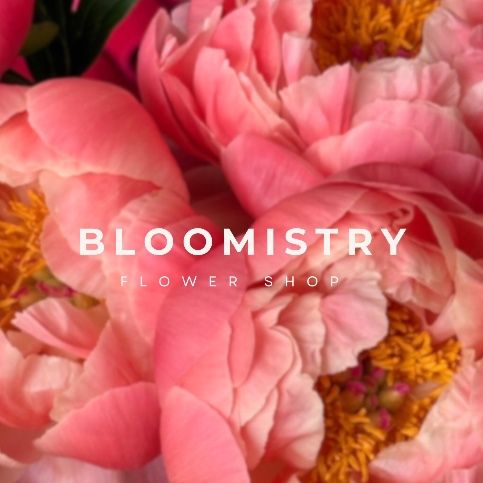 A Refined & Remarkable Flower Subscription