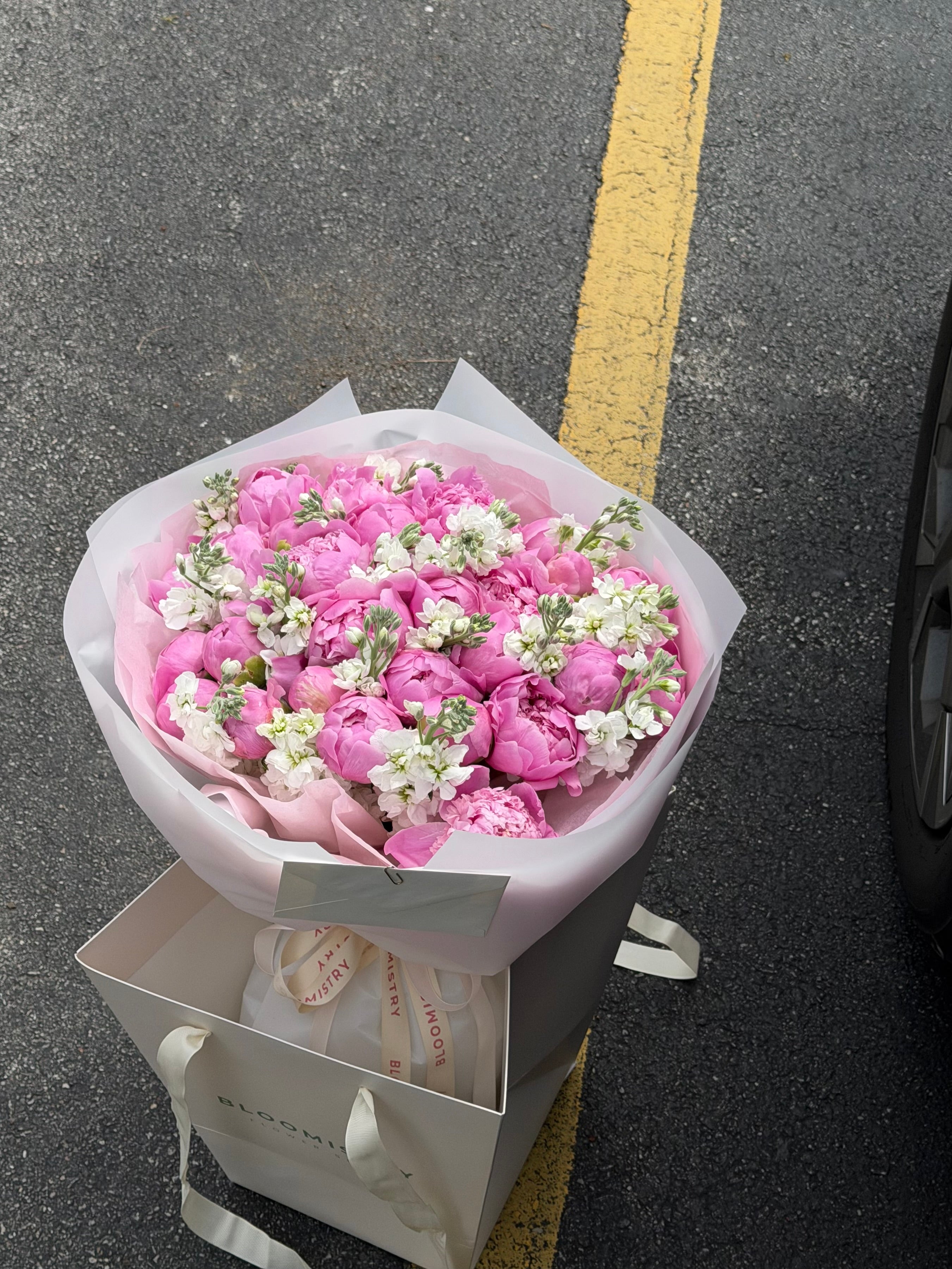 Pink Champagne Peonies