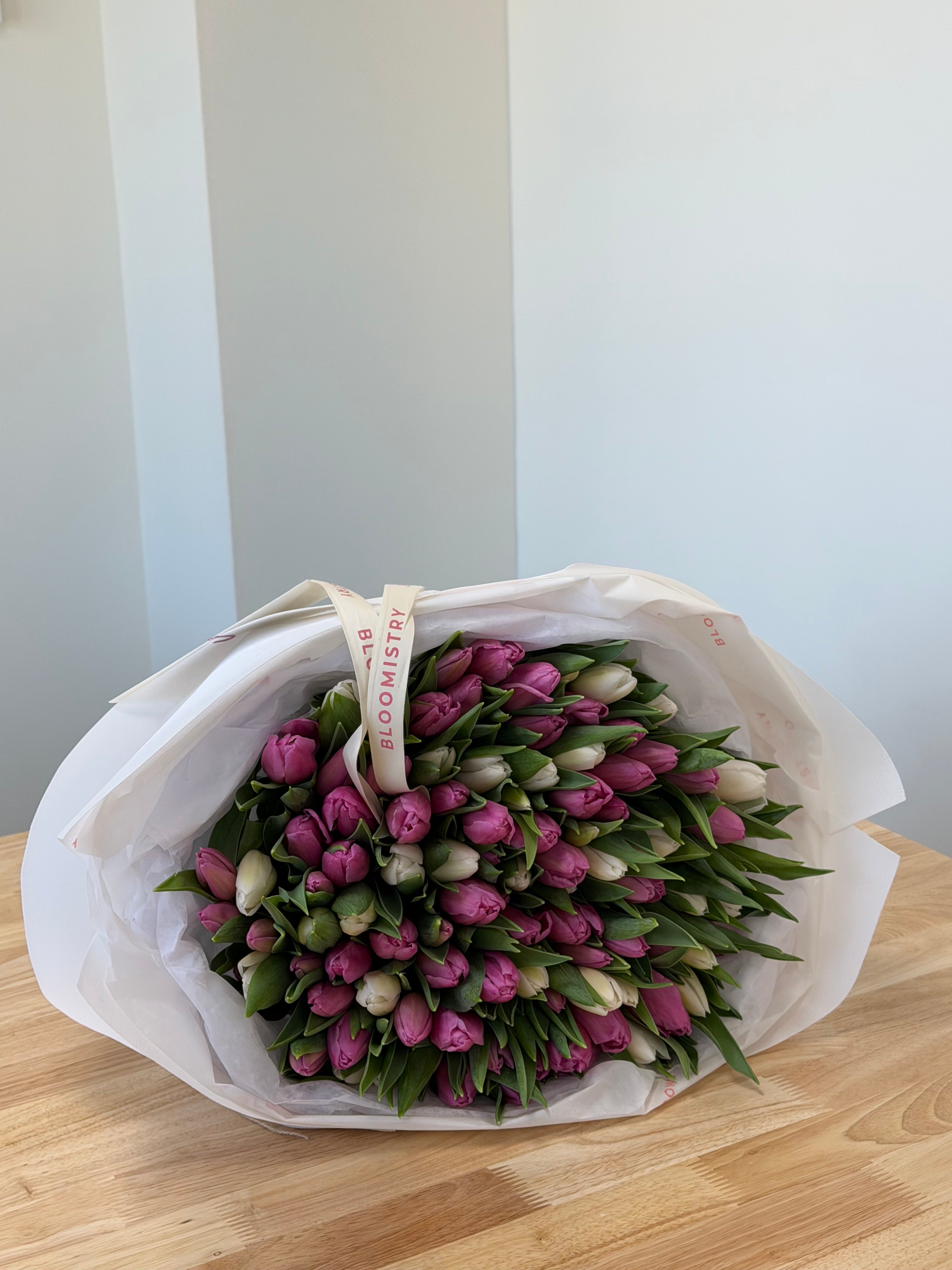 Pure Hundred Tulips