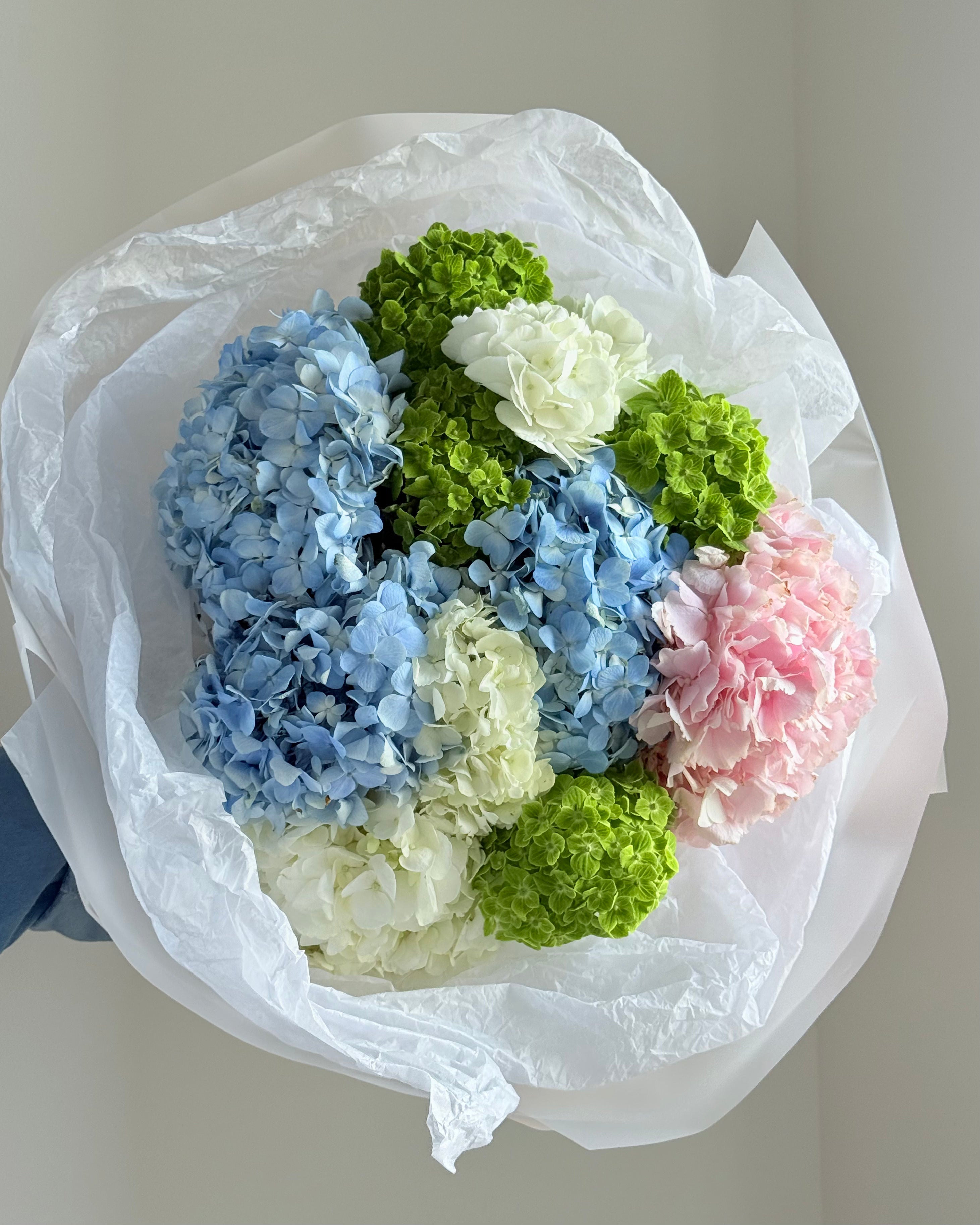 Hydrangea Mix