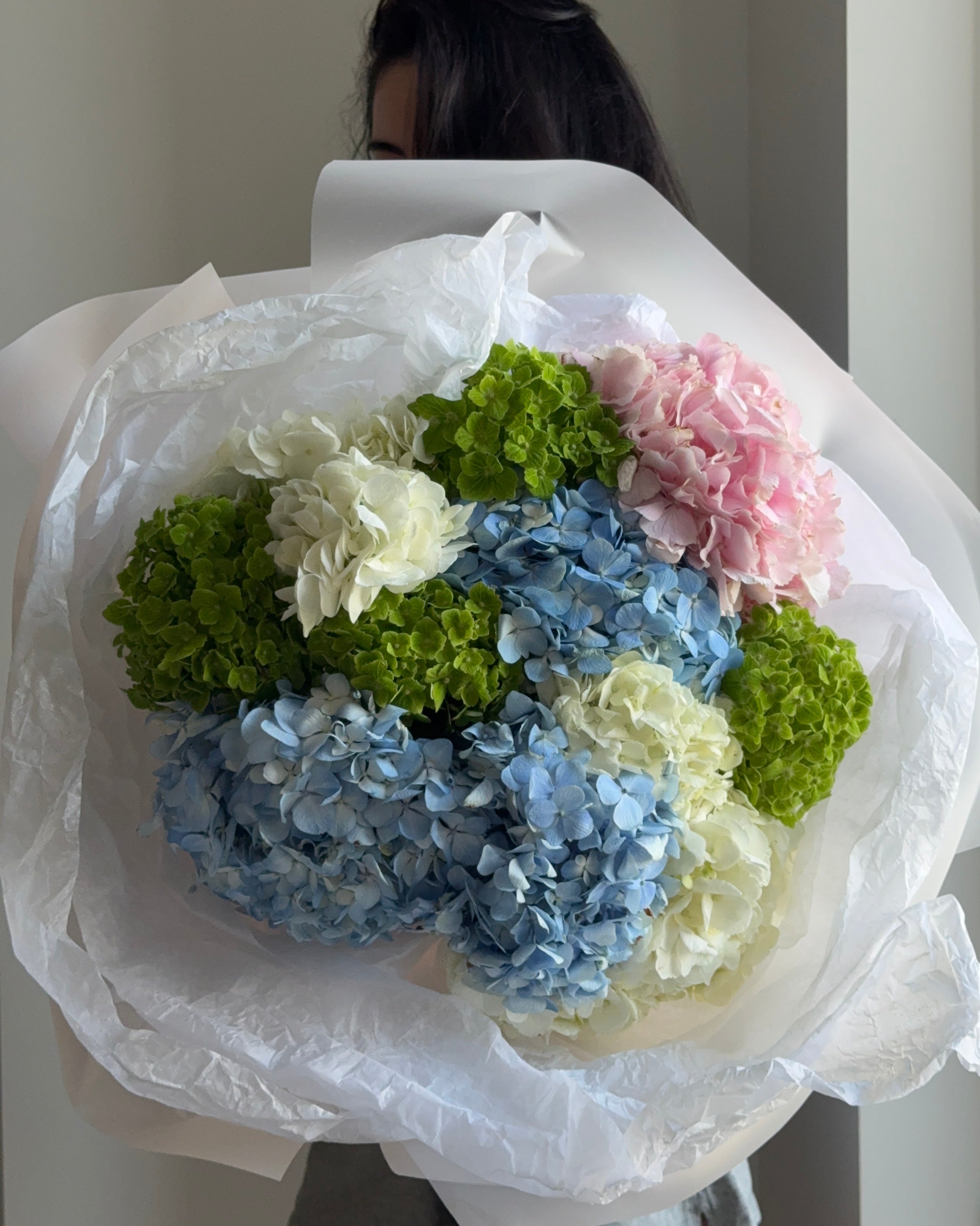 Hydrangea Mix